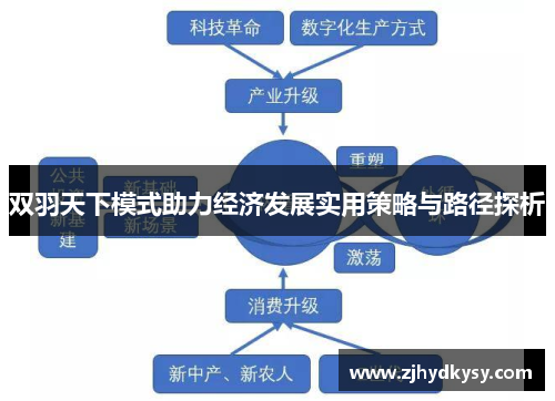 双羽天下模式助力经济发展实用策略与路径探析