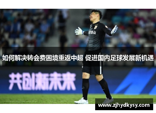 如何解决转会费困境重返中超 促进国内足球发展新机遇